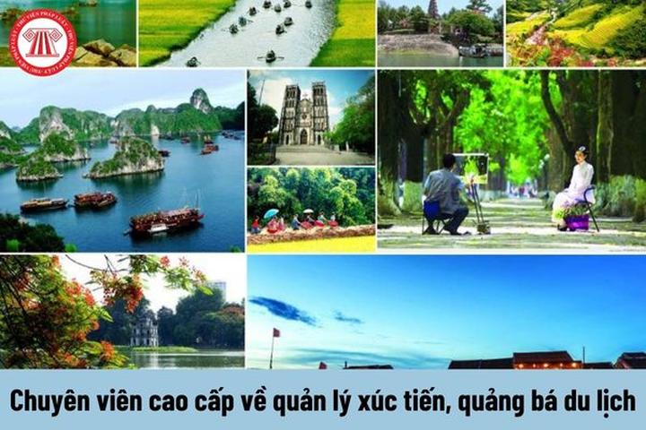 Xu hướng Những thứ đọng lại sau một: Hotspot Matrix tiết lộ bí quyết video viral