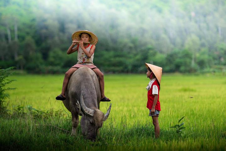 Hotspot Matrix và 3 kiểu giày