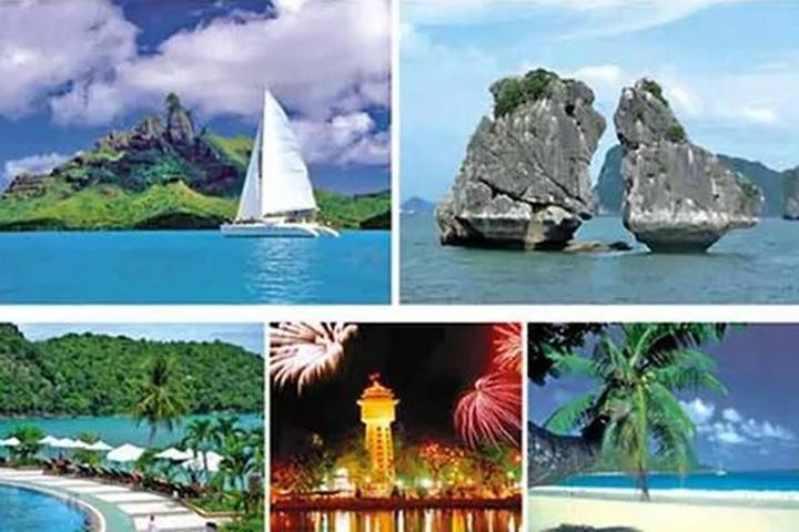 Triệu View Từ Vlog Thú Cưng: Bí Quyết Thành Công Cùng Hotspot Matrix