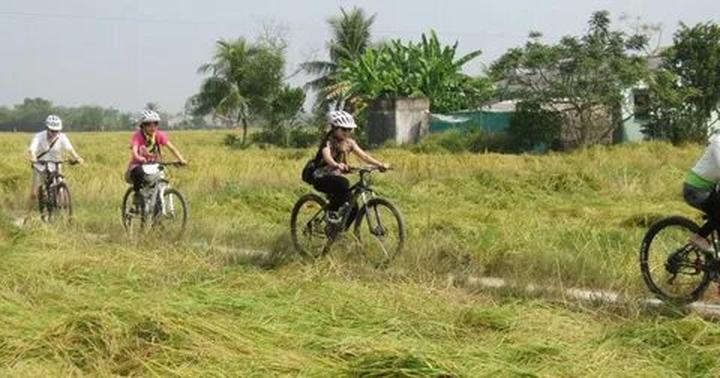 ---Bài viết 2---