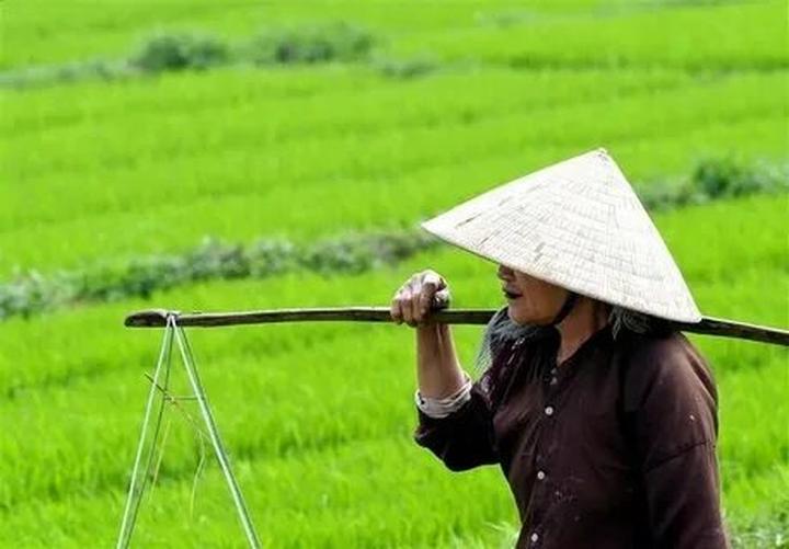 Chính sách đại lý của Hotspot Matrix: Cơ hội hợp tác bền vững trong ngành video ngắn